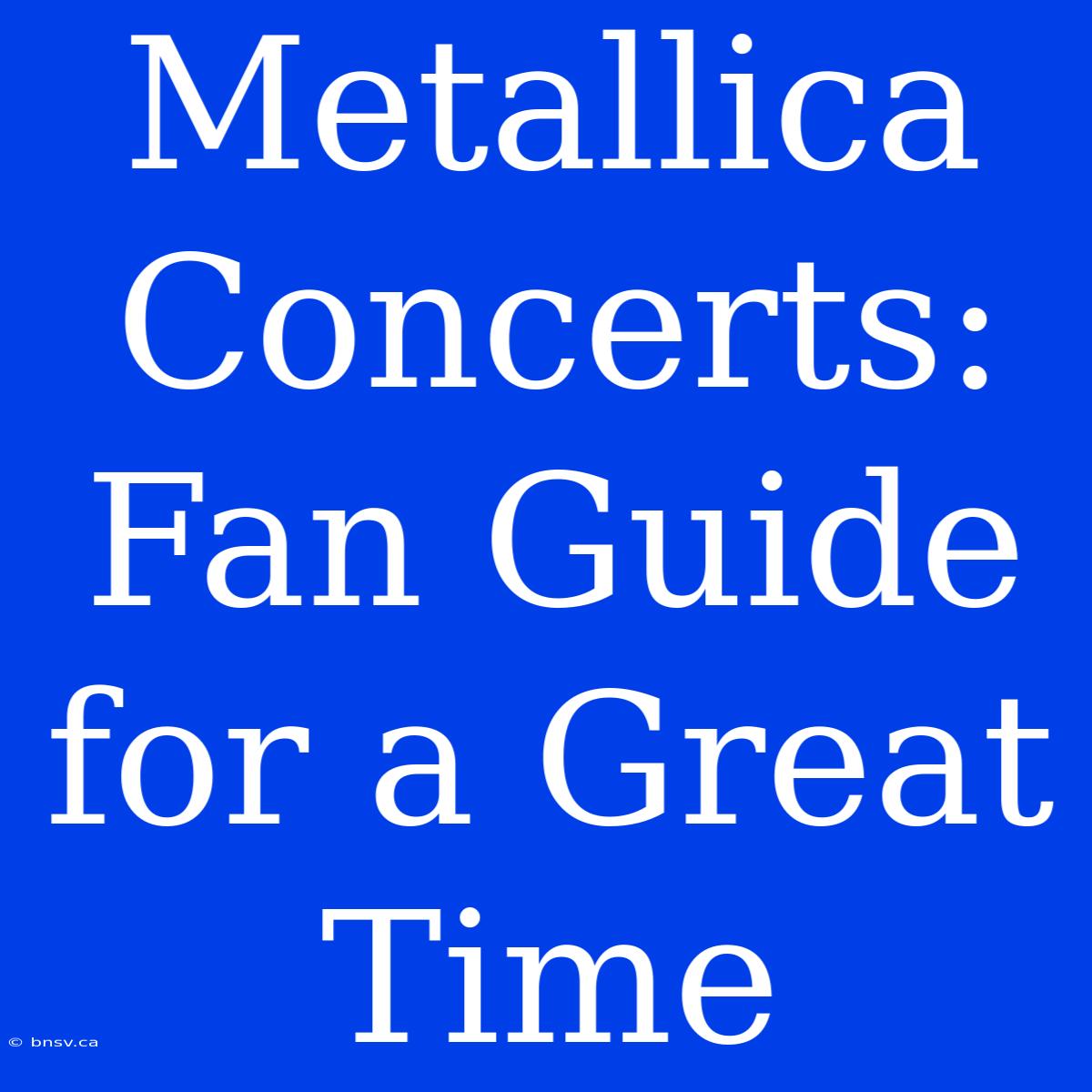 Metallica Concerts: Fan Guide For A Great Time