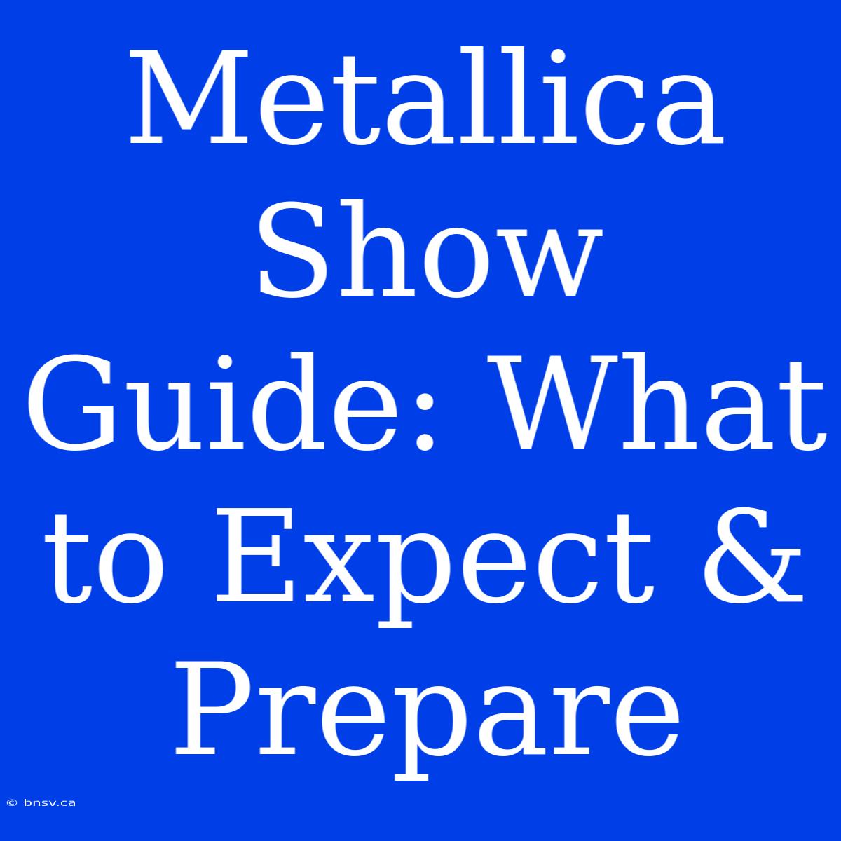 Metallica Show Guide: What To Expect & Prepare