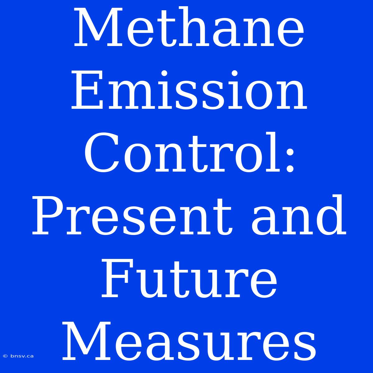 Methane Emission Control: Present And Future Measures