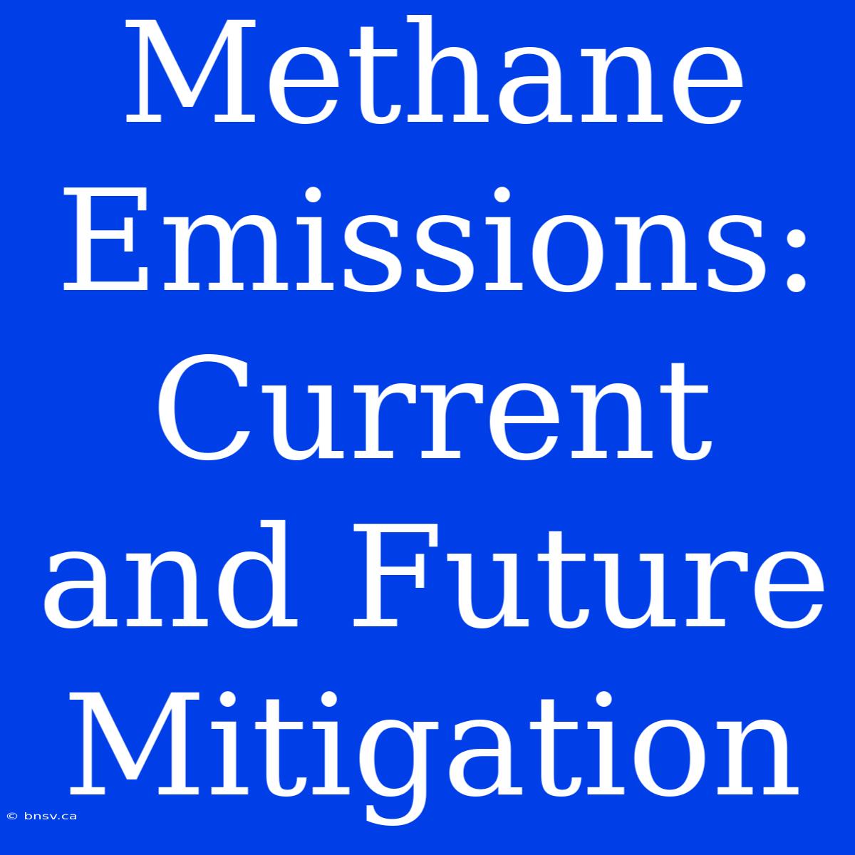 Methane Emissions: Current And Future Mitigation