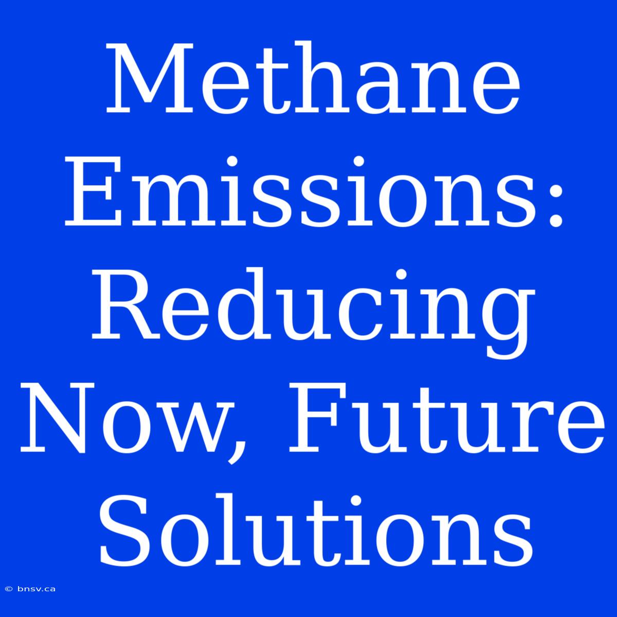 Methane Emissions: Reducing Now, Future Solutions