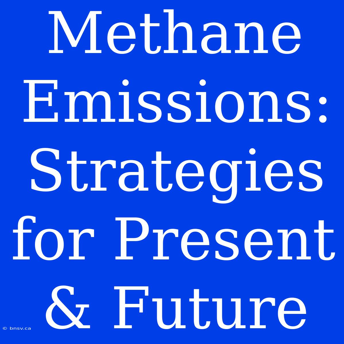 Methane Emissions: Strategies For Present & Future