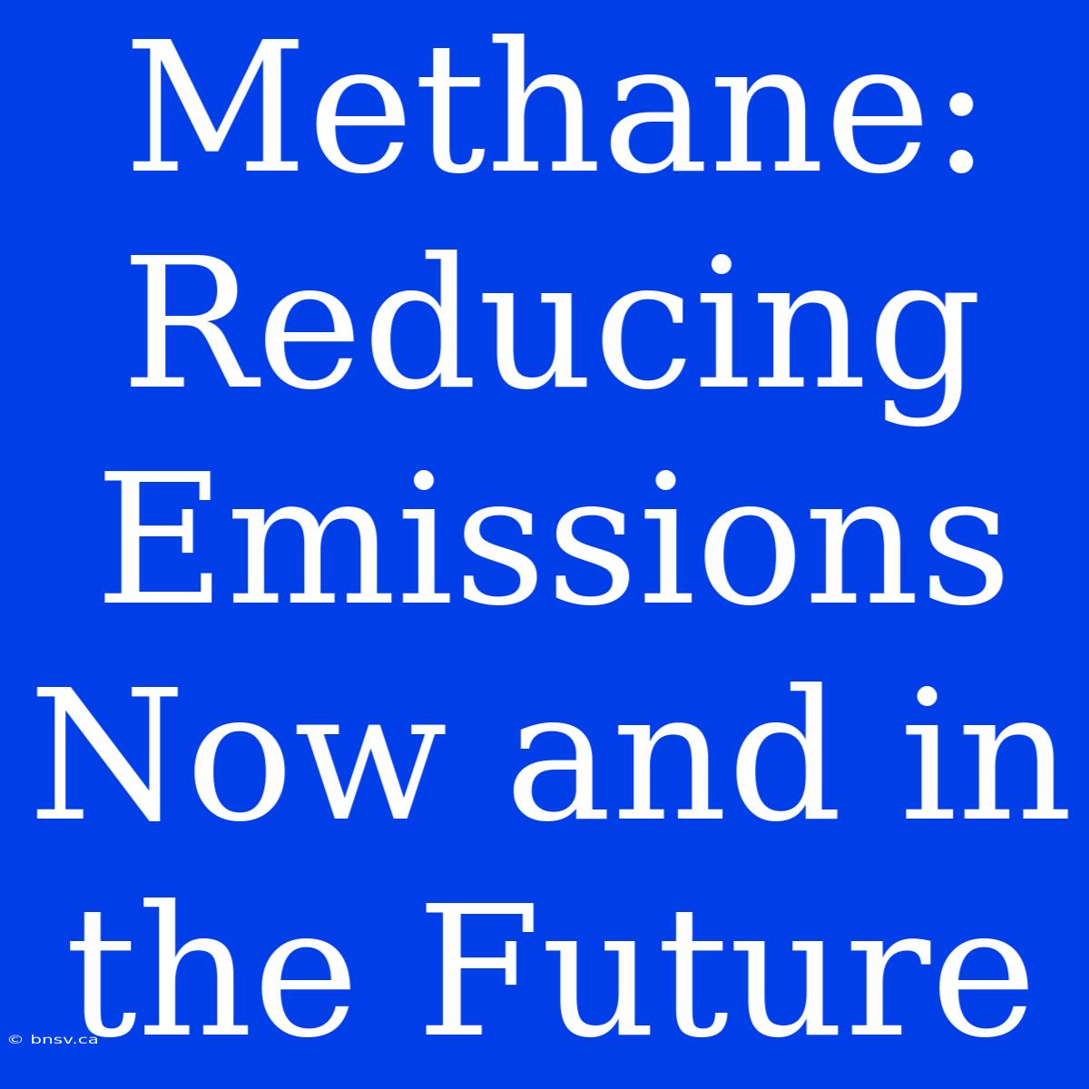 Methane: Reducing Emissions Now And In The Future