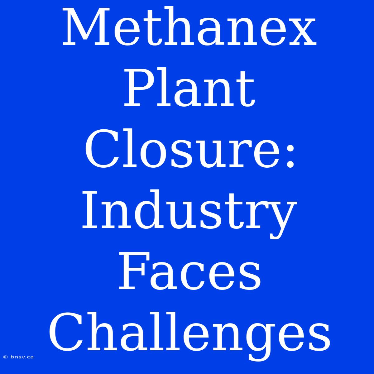 Methanex Plant Closure: Industry Faces Challenges