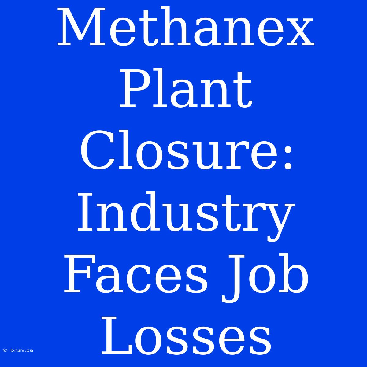 Methanex Plant Closure: Industry Faces Job Losses