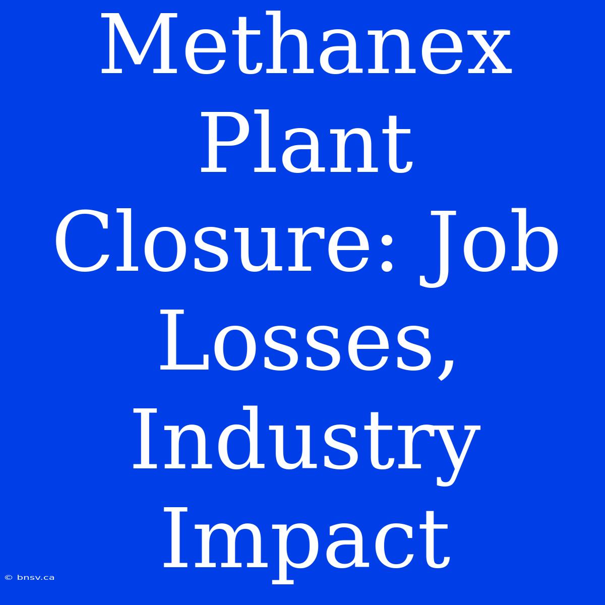 Methanex Plant Closure: Job Losses, Industry Impact