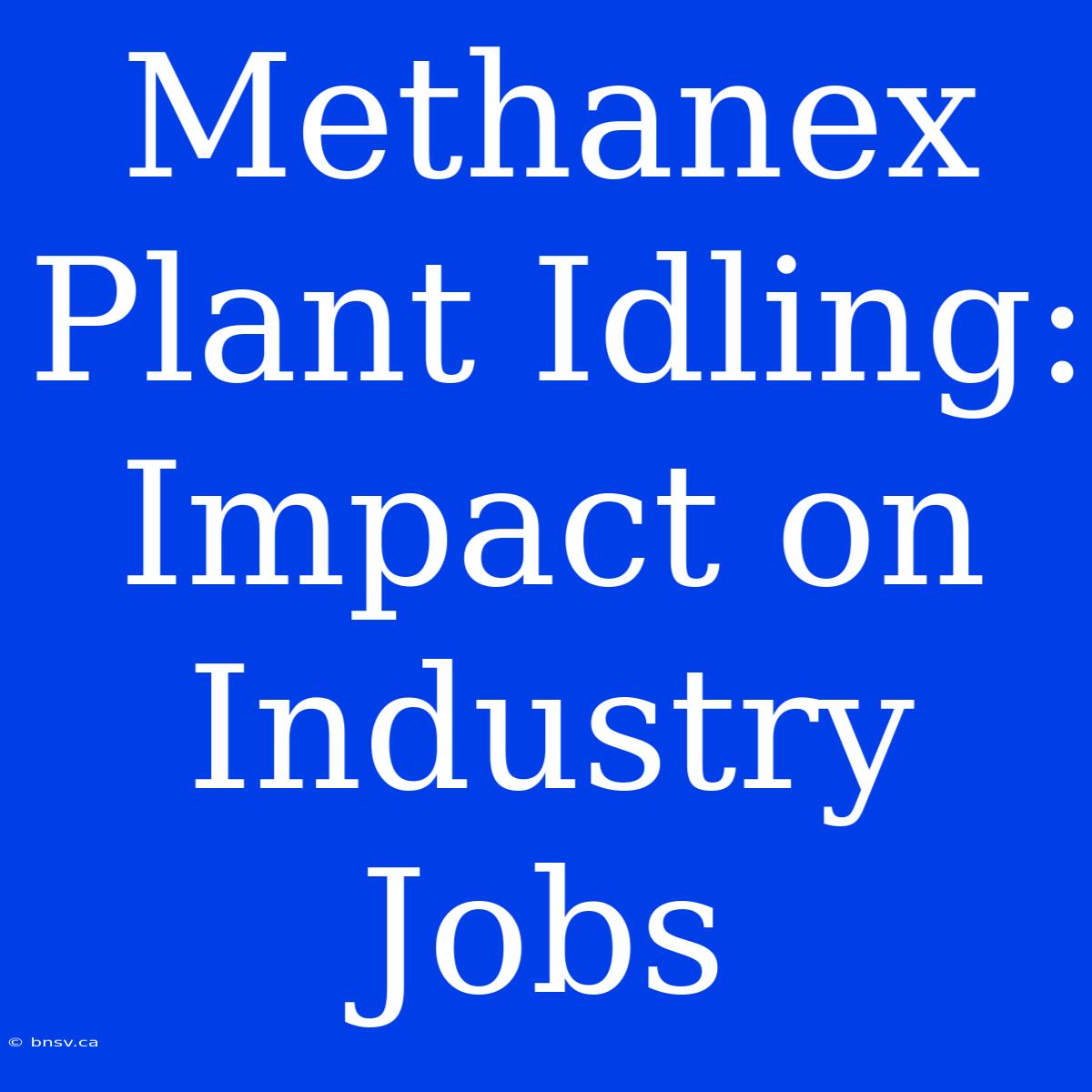 Methanex Plant Idling: Impact On Industry Jobs