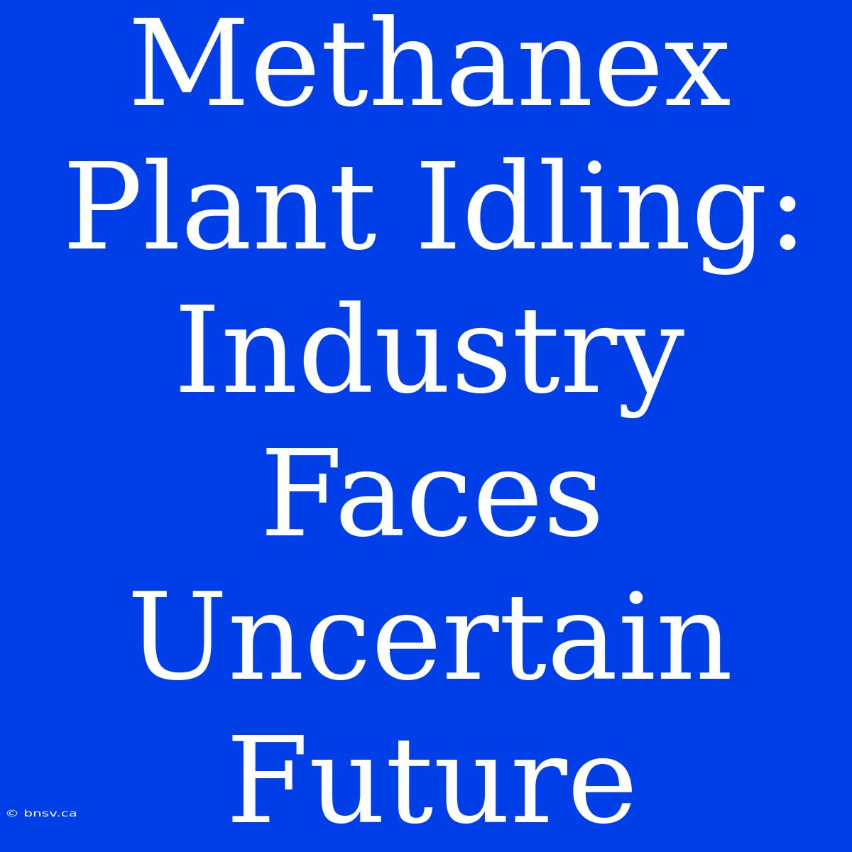 Methanex Plant Idling: Industry Faces Uncertain Future