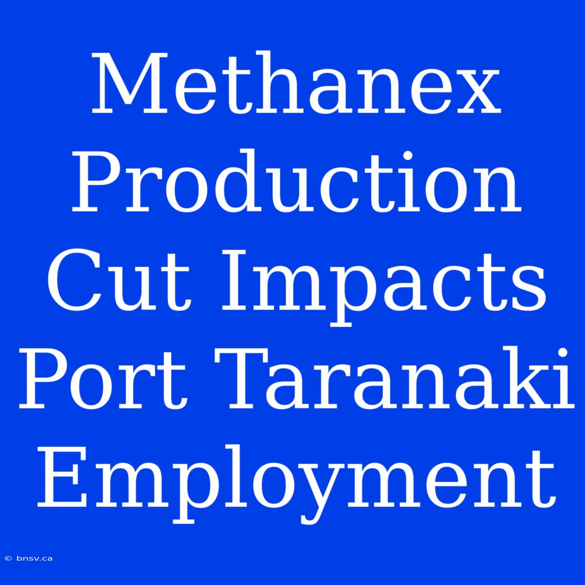 Methanex Production Cut Impacts Port Taranaki Employment