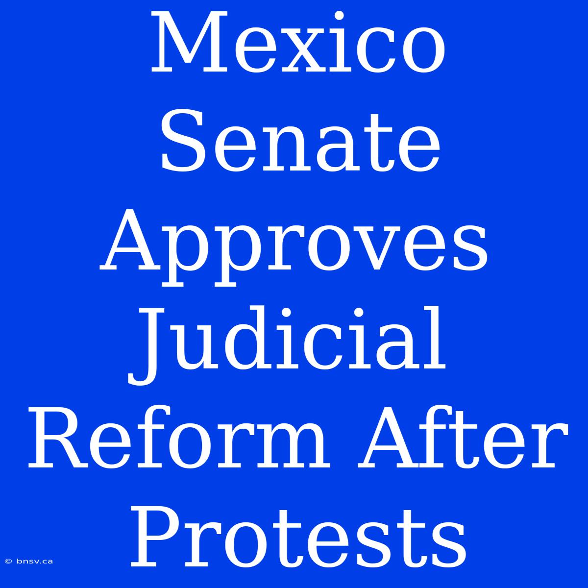 Mexico Senate Approves Judicial Reform After Protests