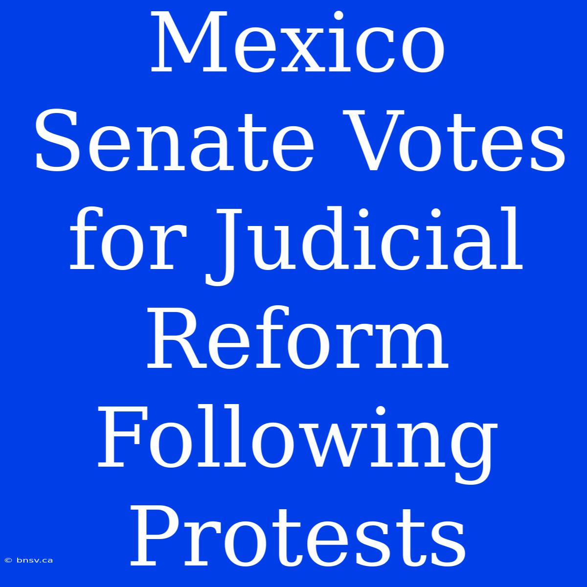 Mexico Senate Votes For Judicial Reform Following Protests