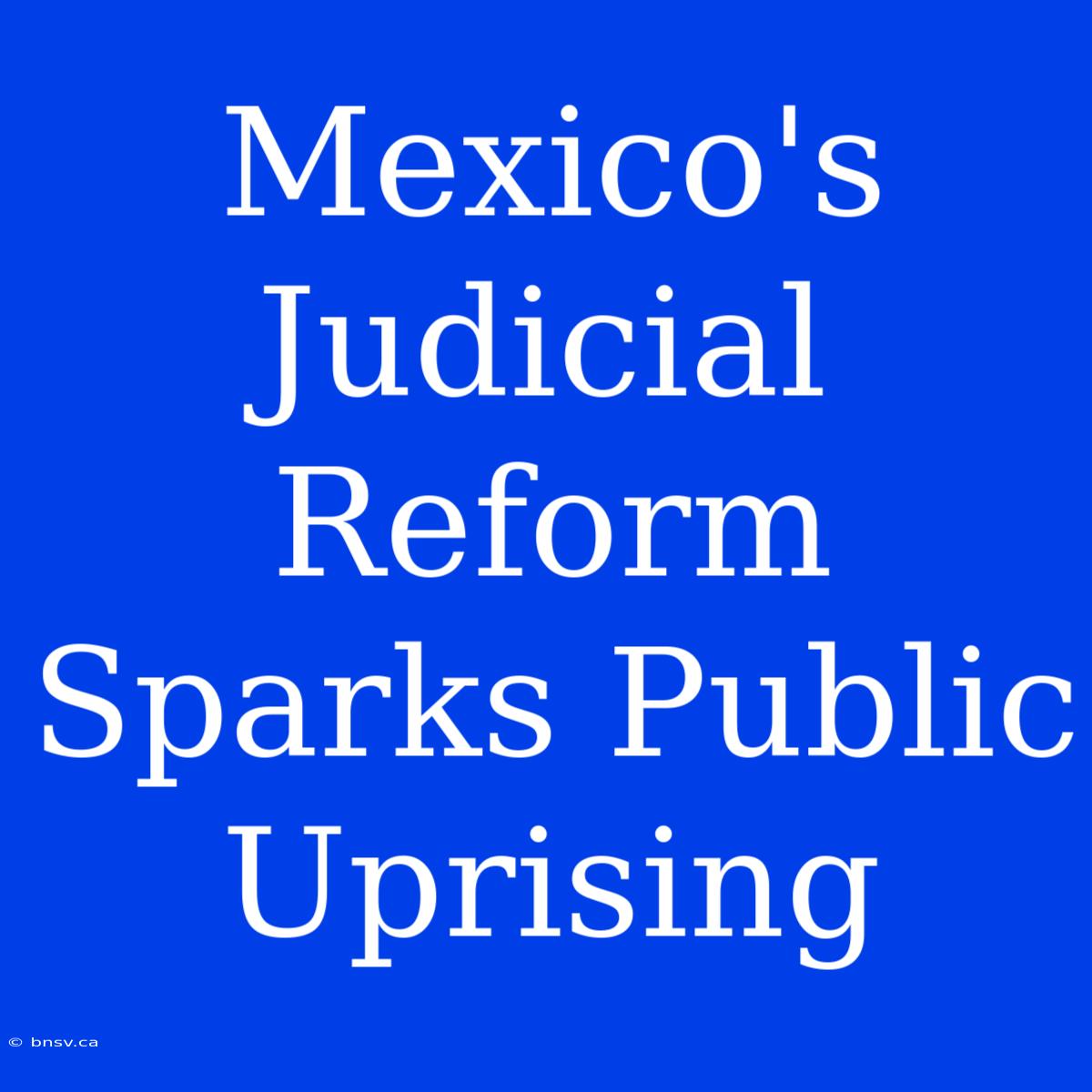 Mexico's Judicial Reform Sparks Public Uprising