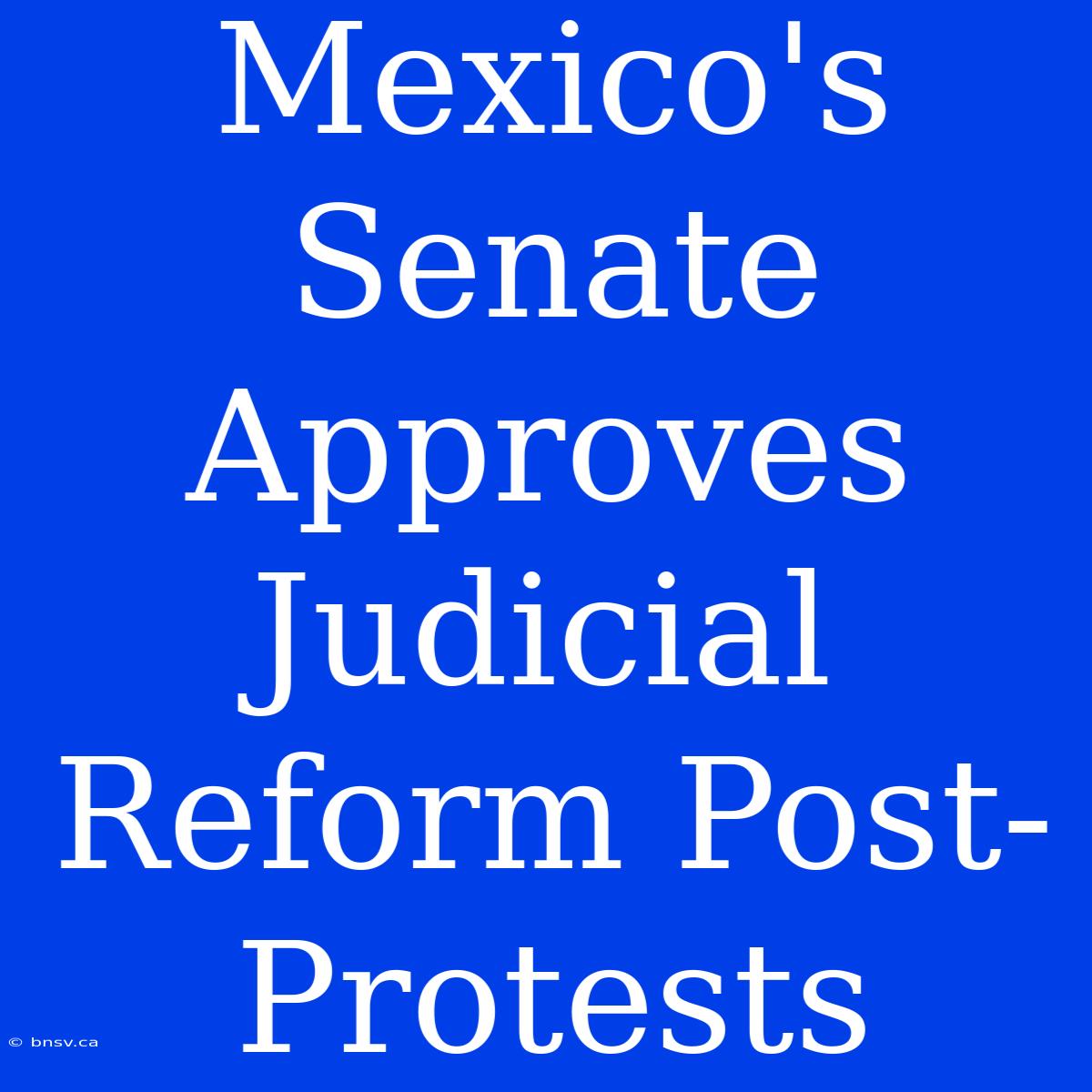 Mexico's Senate Approves Judicial Reform Post-Protests