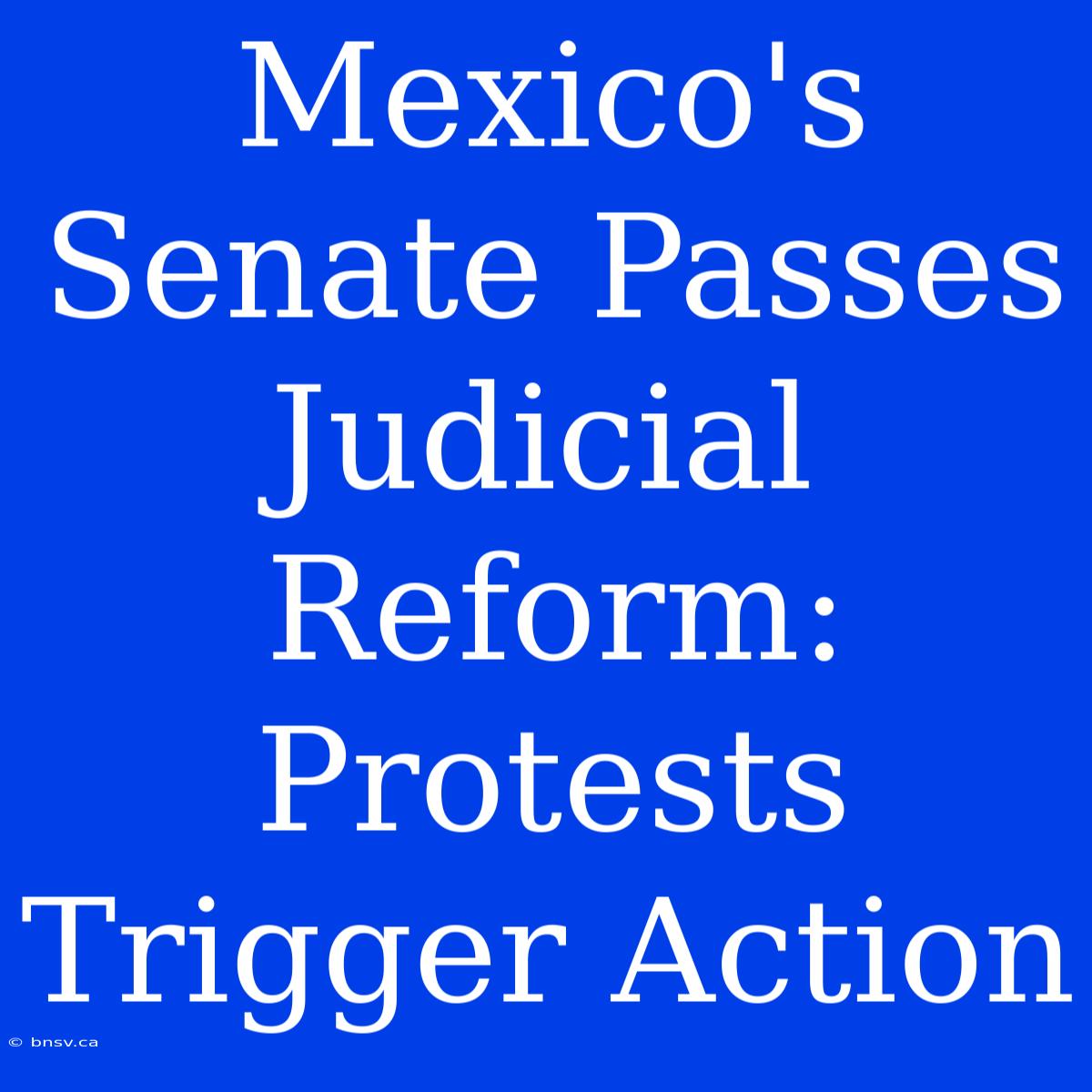 Mexico's Senate Passes Judicial Reform: Protests Trigger Action