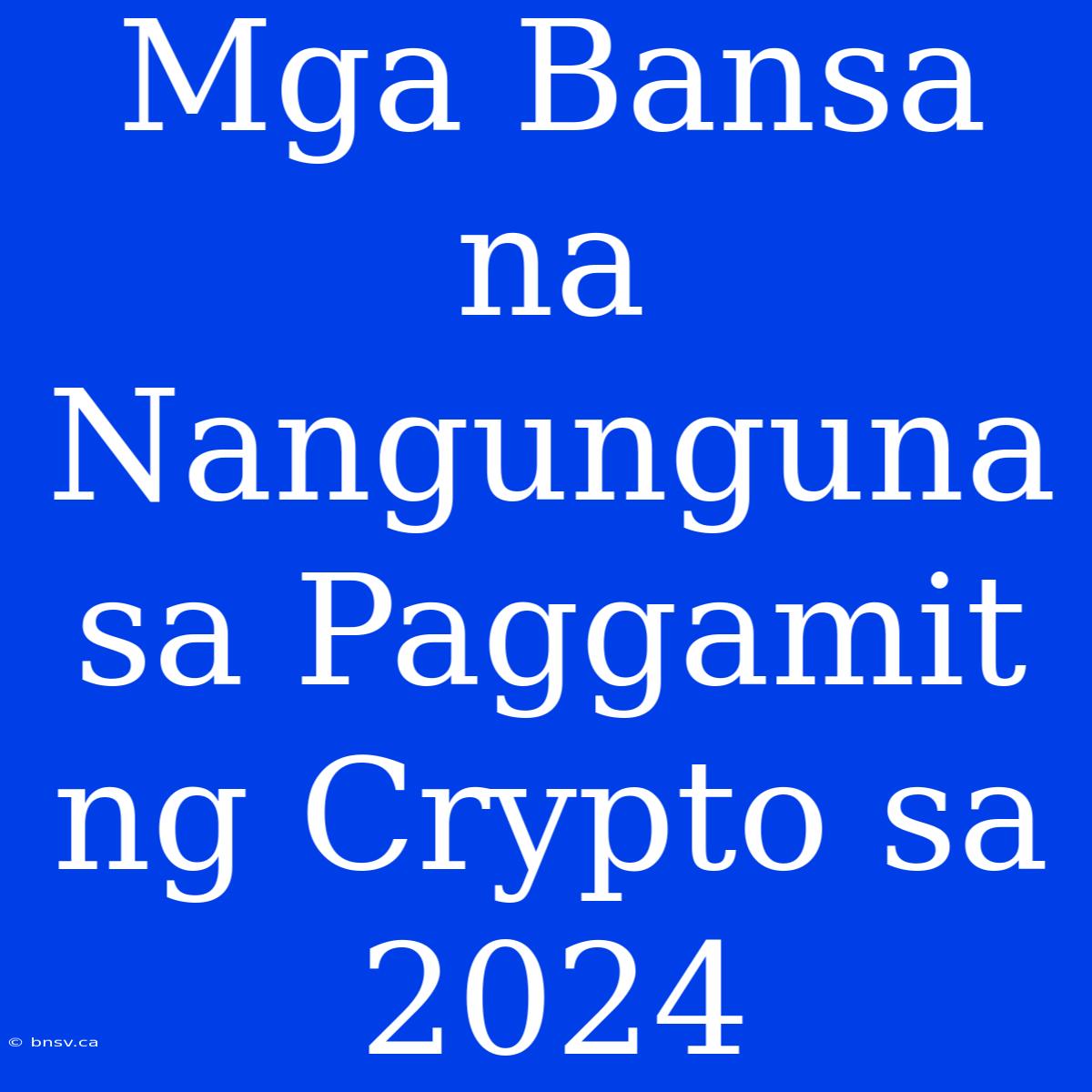 Mga Bansa Na Nangunguna Sa Paggamit Ng Crypto Sa 2024