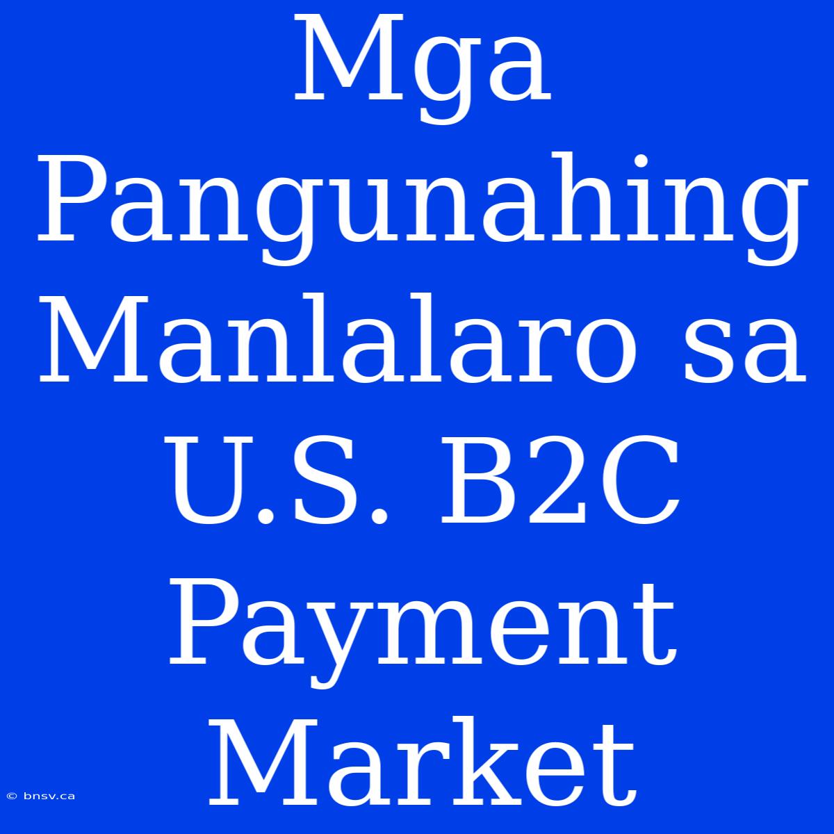 Mga Pangunahing Manlalaro Sa U.S. B2C Payment Market