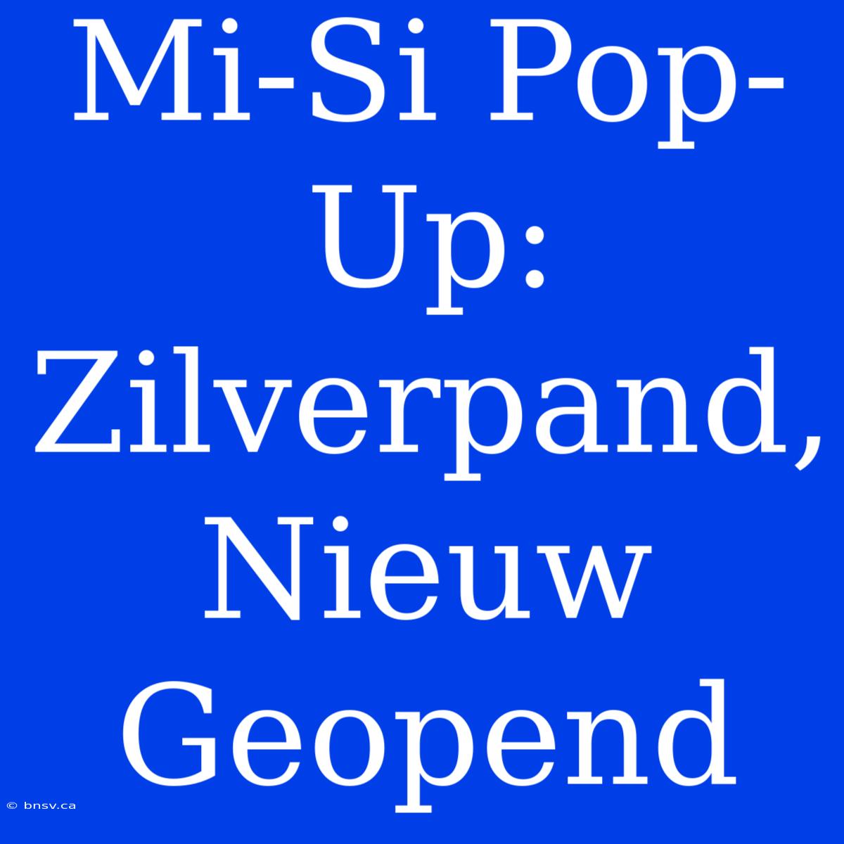 Mi-Si Pop-Up: Zilverpand, Nieuw Geopend