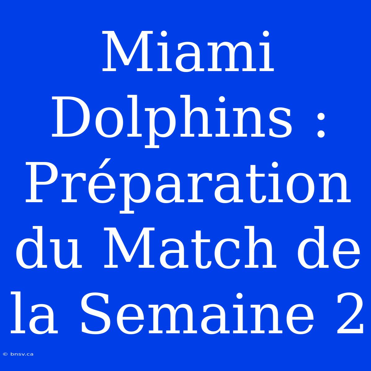 Miami Dolphins : Préparation Du Match De La Semaine 2