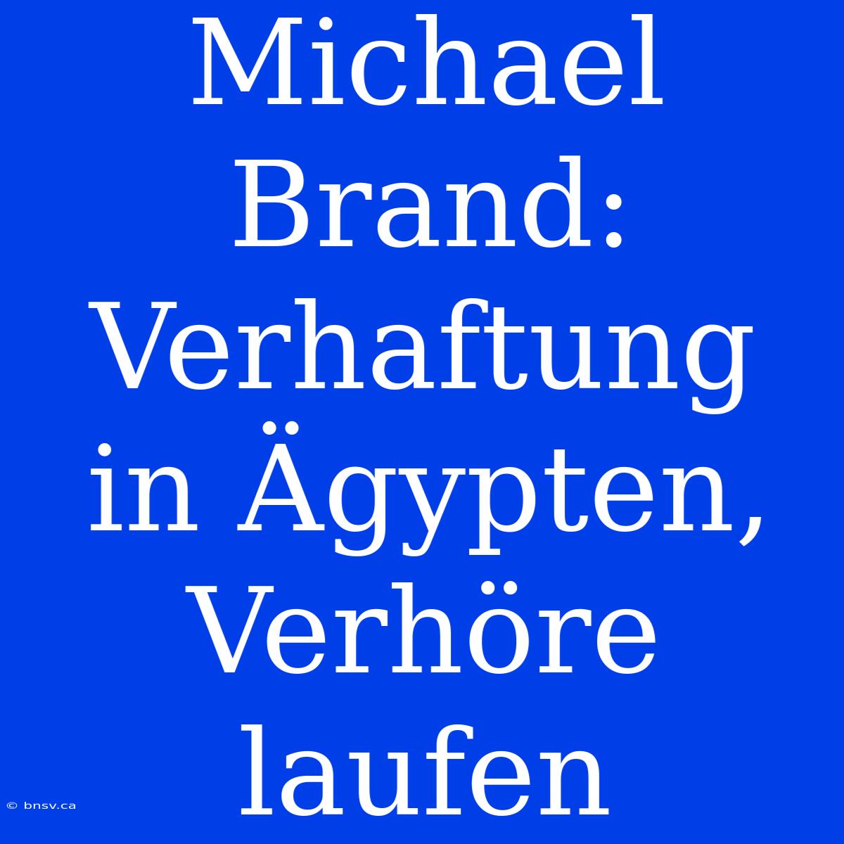 Michael Brand: Verhaftung In Ägypten, Verhöre Laufen