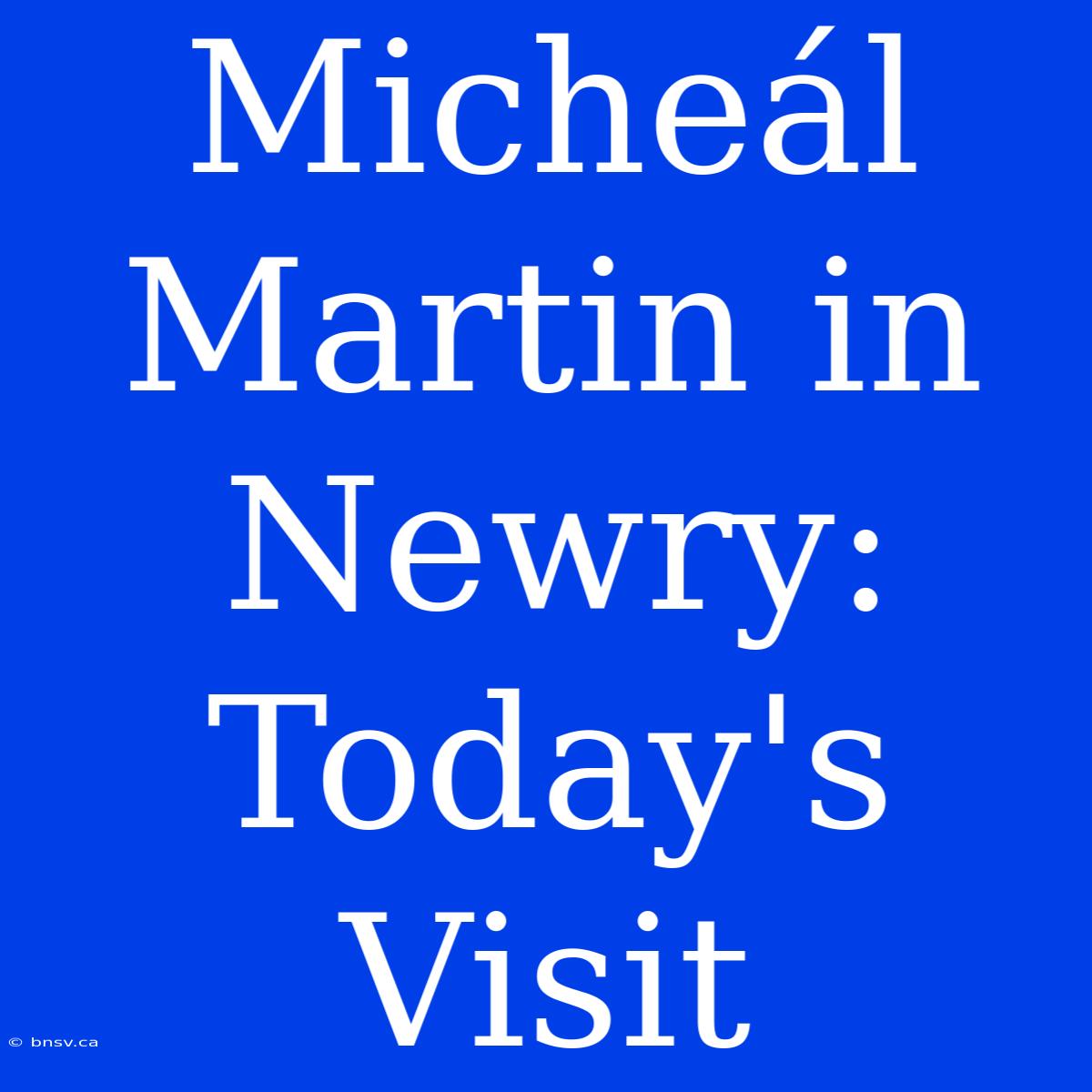 Micheál Martin In Newry: Today's Visit