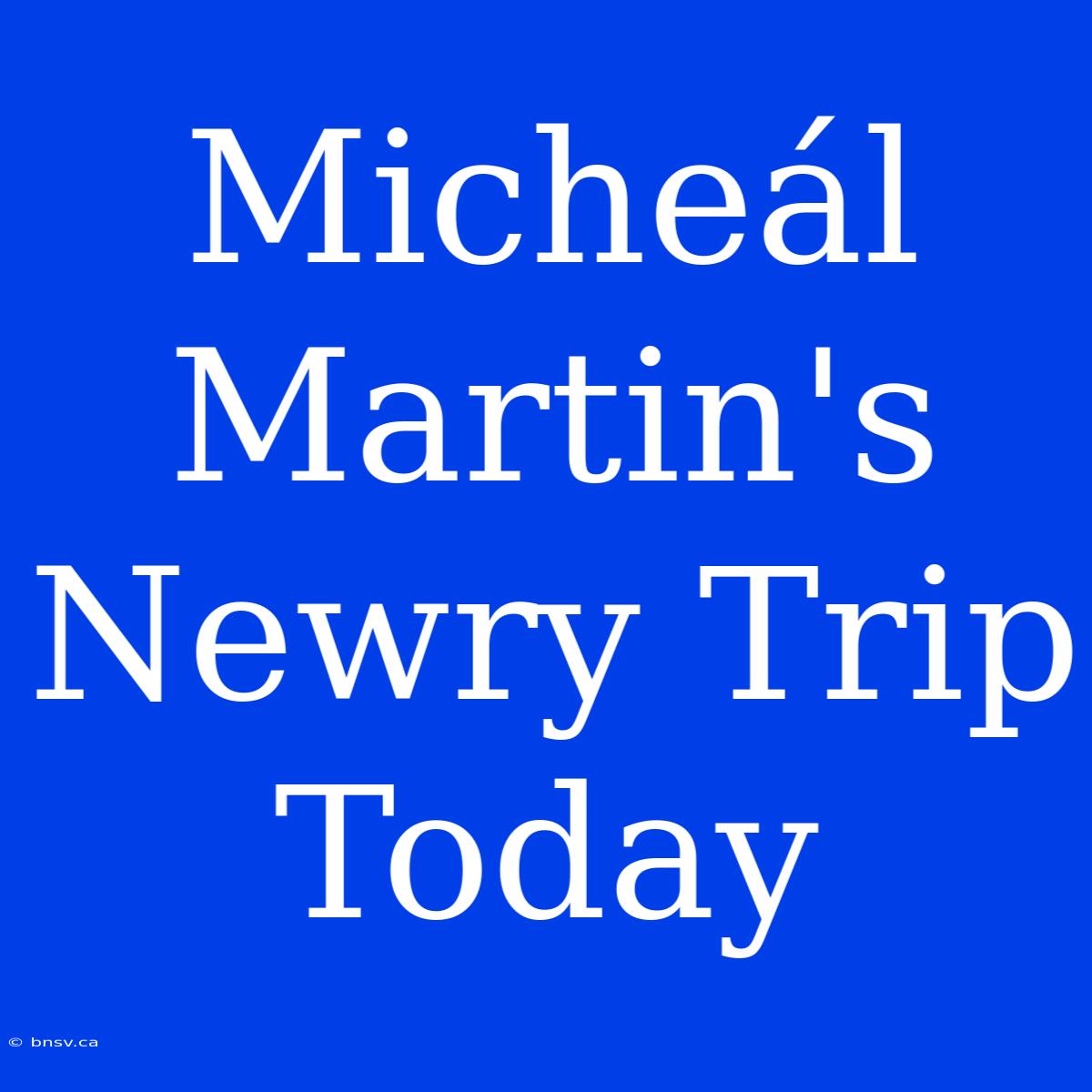 Micheál Martin's Newry Trip Today