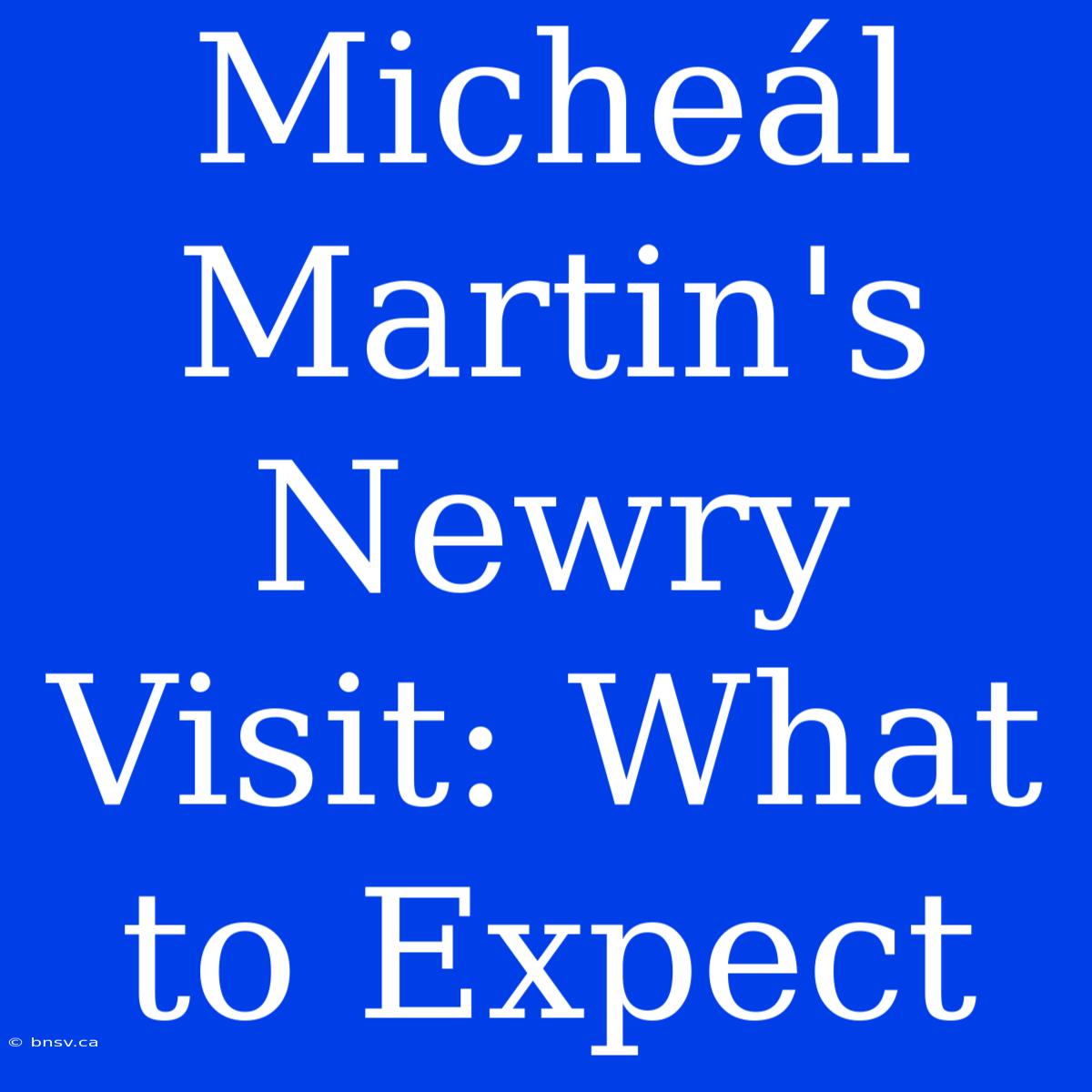 Micheál Martin's Newry Visit: What To Expect