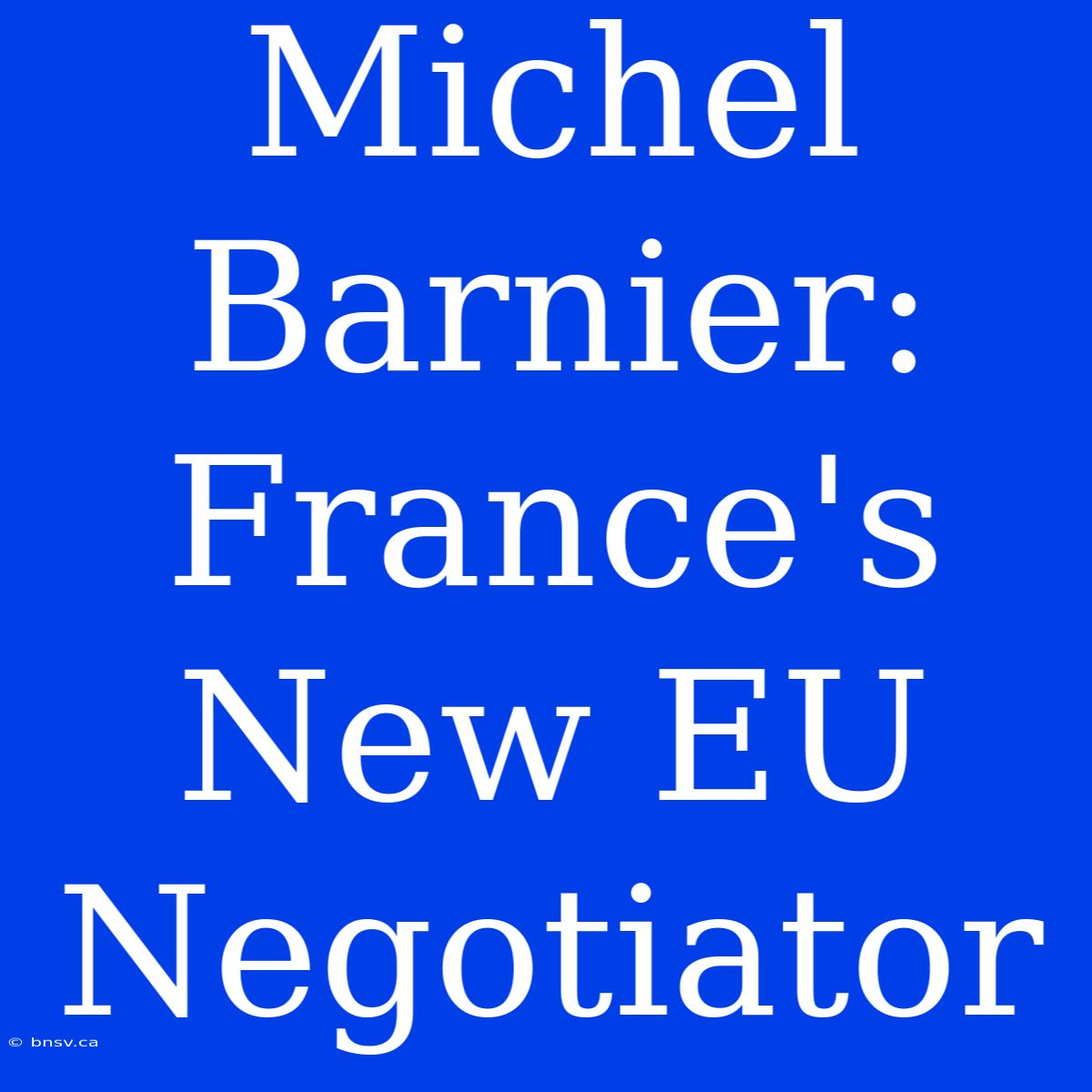 Michel Barnier: France's New EU Negotiator