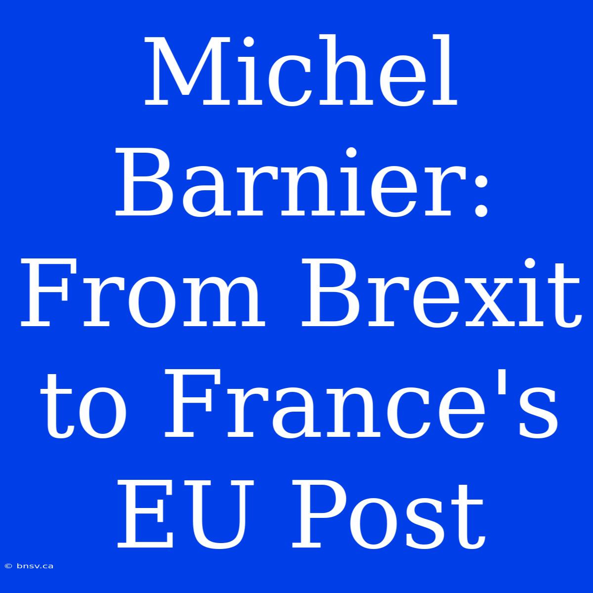 Michel Barnier: From Brexit To France's EU Post