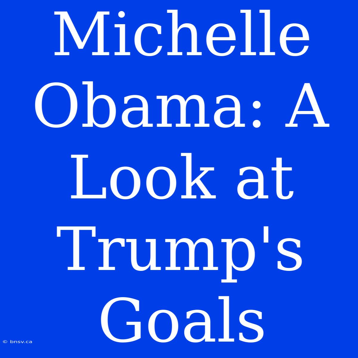 Michelle Obama: A Look At Trump's Goals