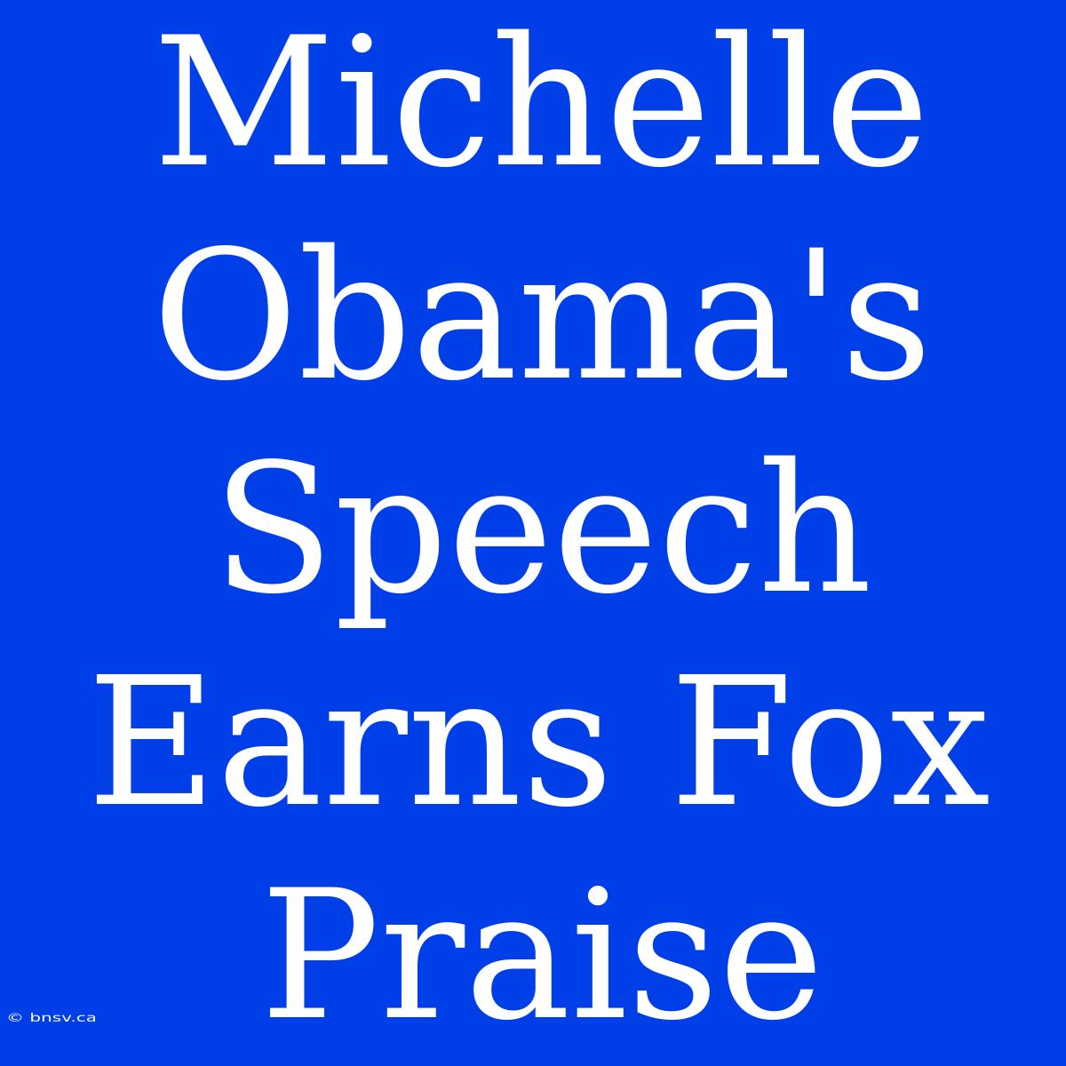 Michelle Obama's Speech Earns Fox Praise