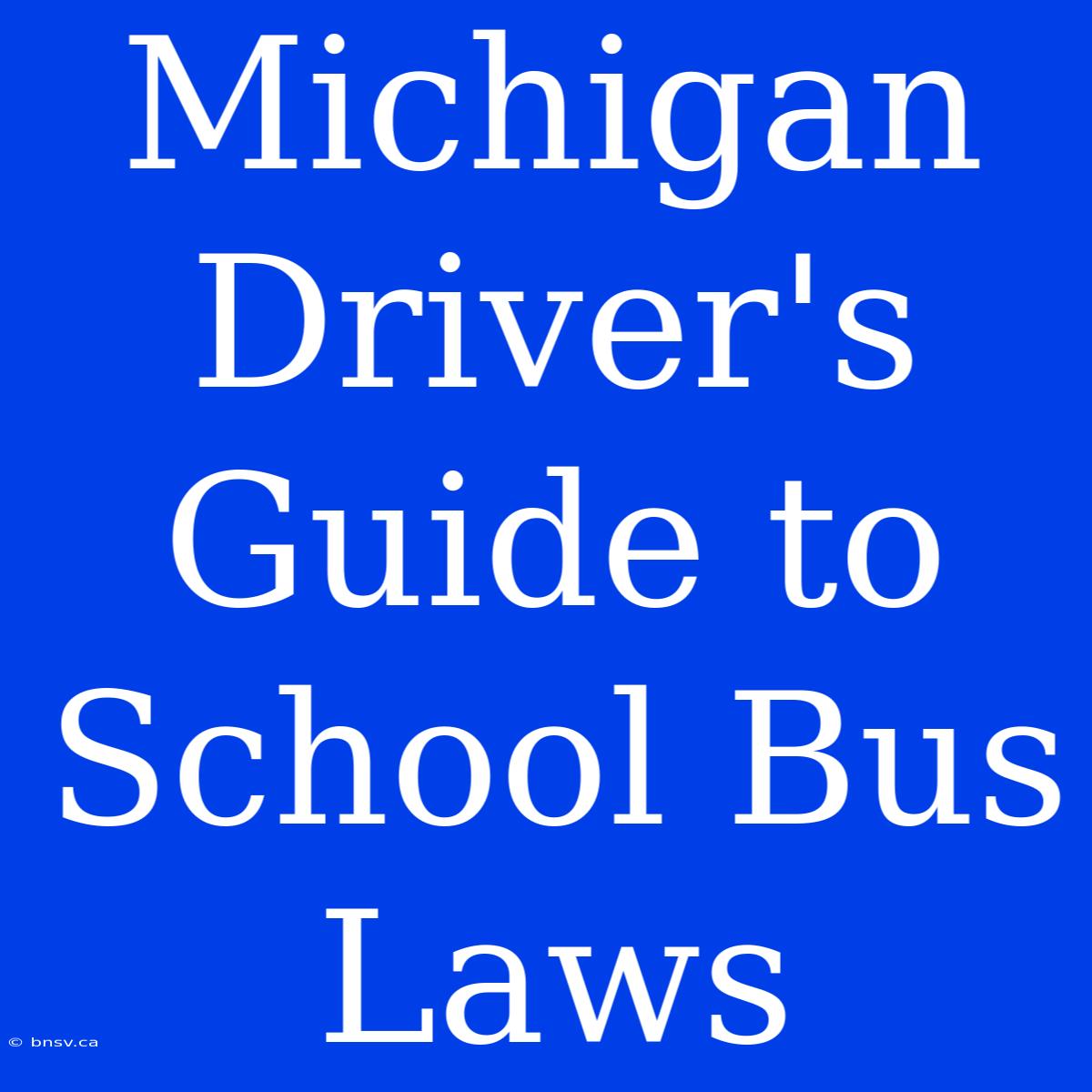 Michigan Driver's Guide To School Bus Laws