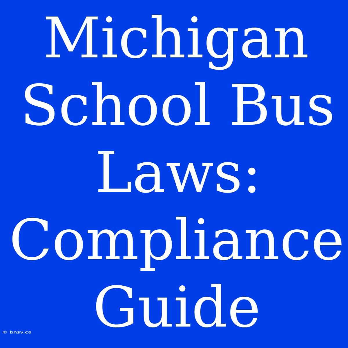 Michigan School Bus Laws: Compliance Guide