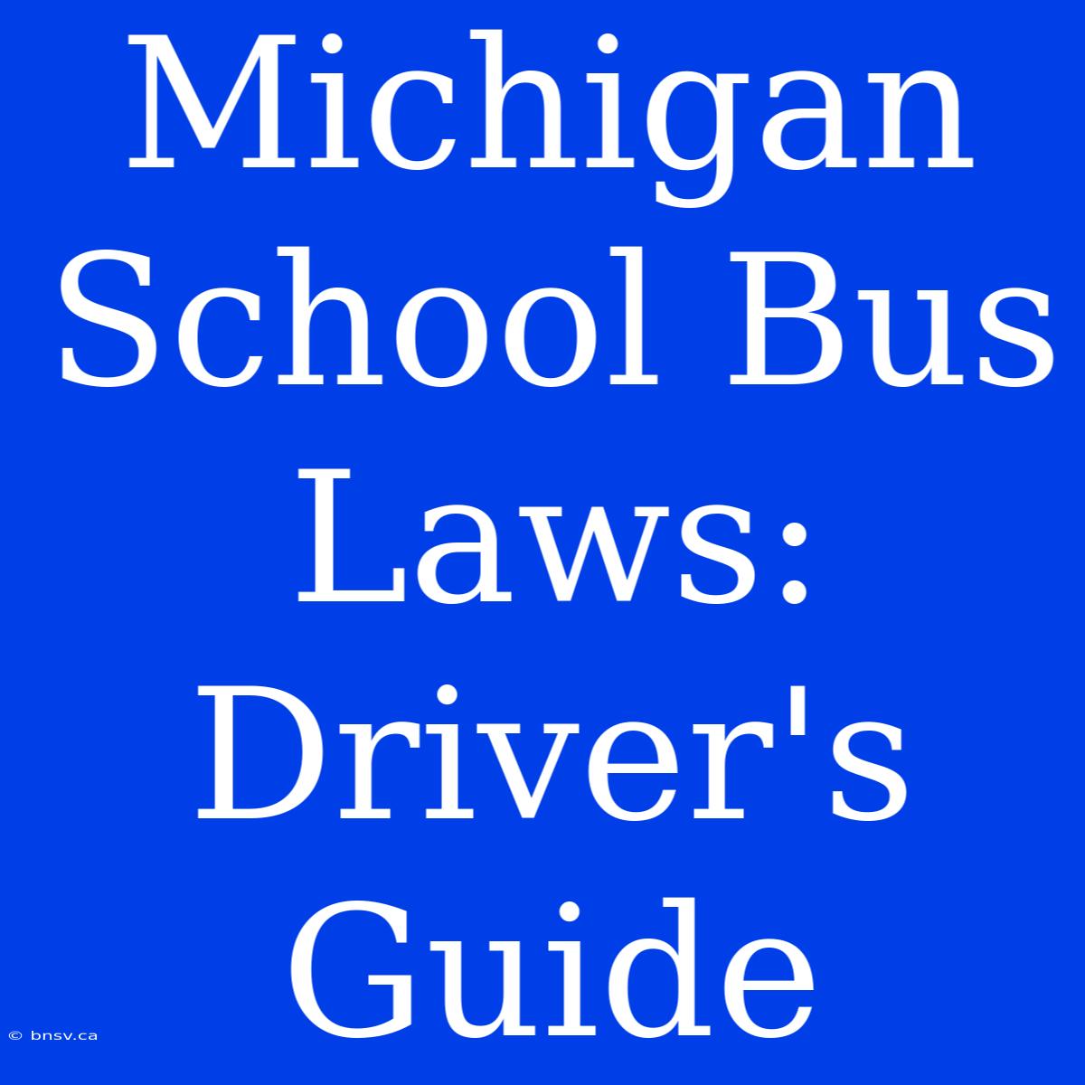 Michigan School Bus Laws: Driver's Guide