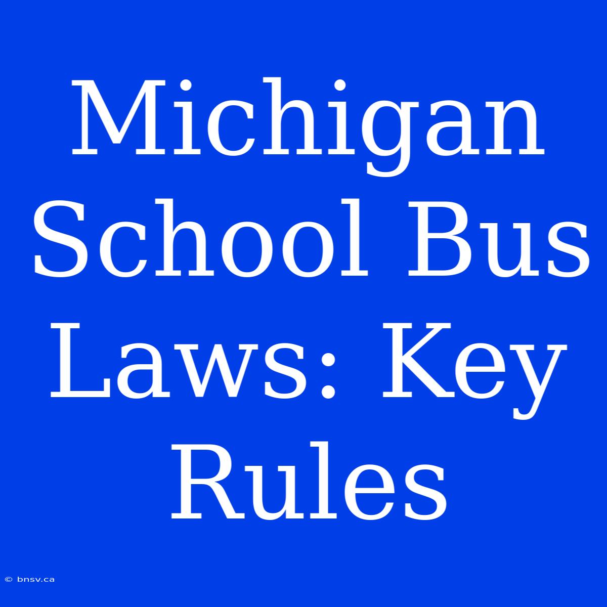 Michigan School Bus Laws: Key Rules