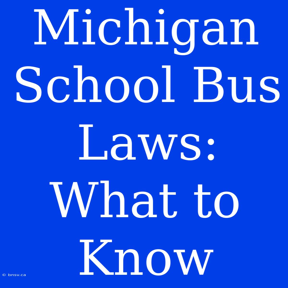 Michigan School Bus Laws: What To Know