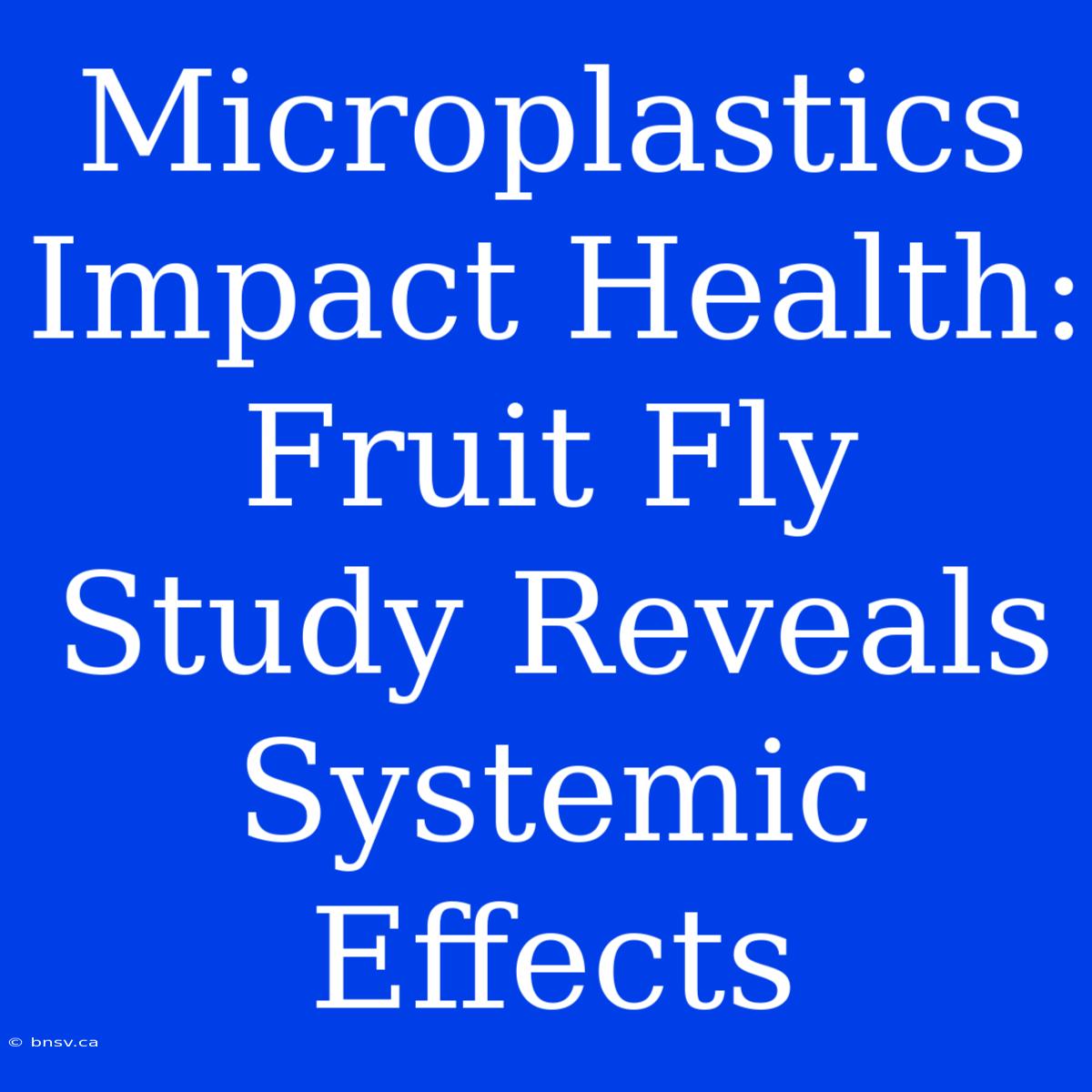 Microplastics Impact Health: Fruit Fly Study Reveals Systemic Effects