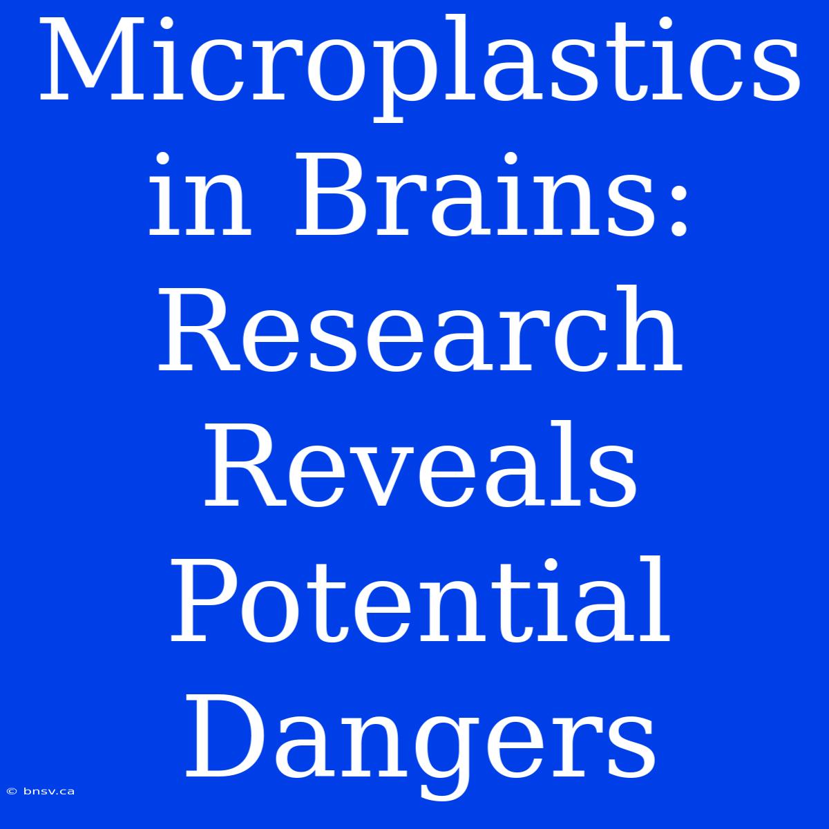 Microplastics In Brains: Research Reveals Potential Dangers