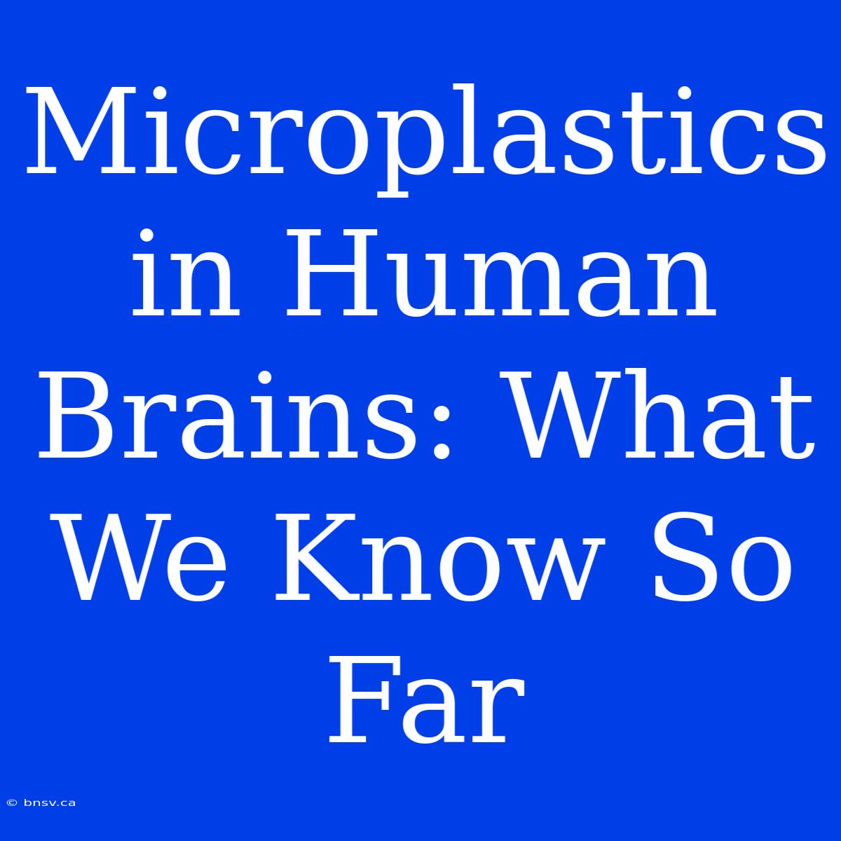 Microplastics In Human Brains: What We Know So Far