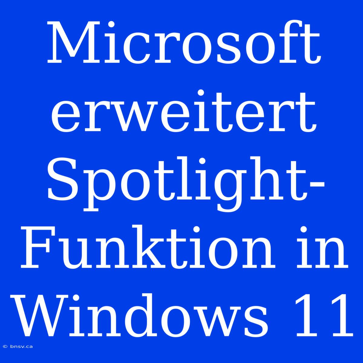 Microsoft Erweitert Spotlight-Funktion In Windows 11