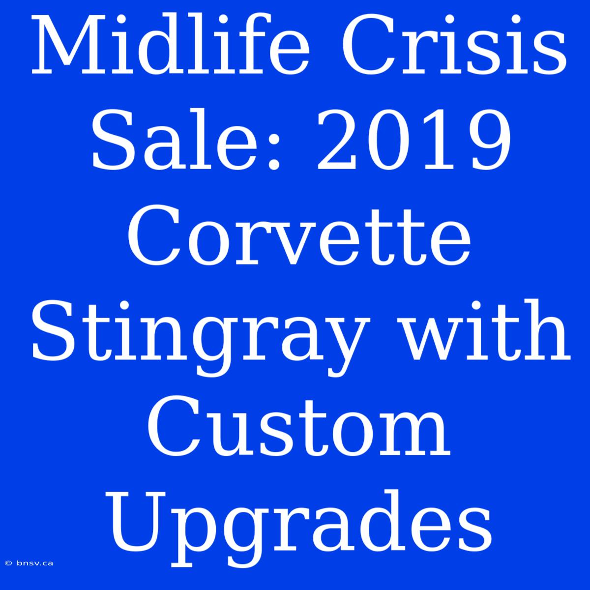 Midlife Crisis Sale: 2019 Corvette Stingray With Custom Upgrades