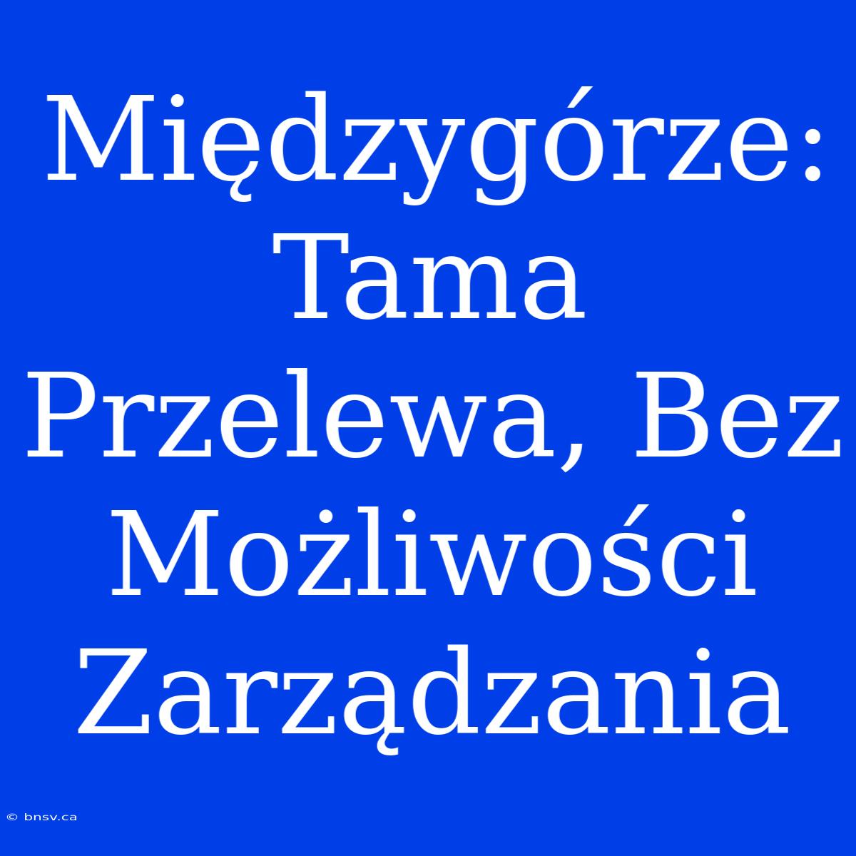 Międzygórze: Tama Przelewa, Bez Możliwości Zarządzania