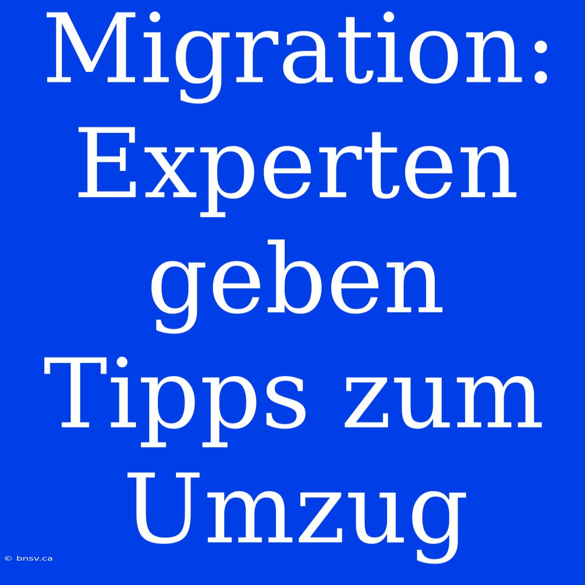 Migration: Experten Geben Tipps Zum Umzug