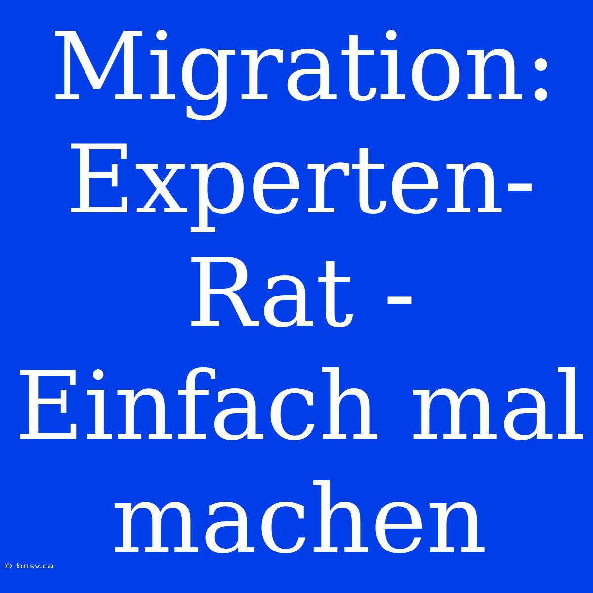 Migration: Experten-Rat - Einfach Mal Machen