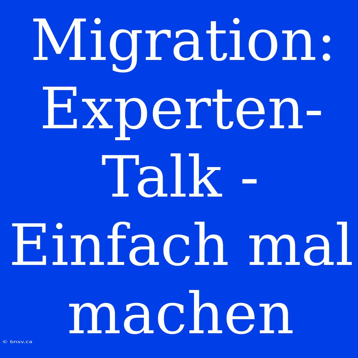 Migration: Experten-Talk - Einfach Mal Machen