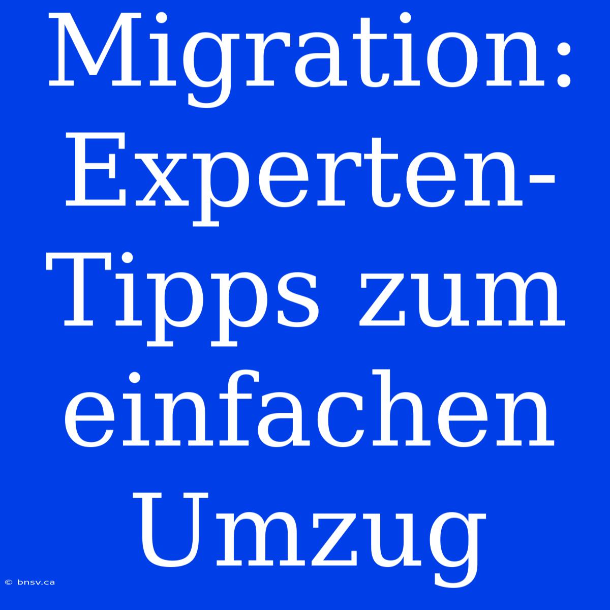 Migration: Experten-Tipps Zum Einfachen Umzug