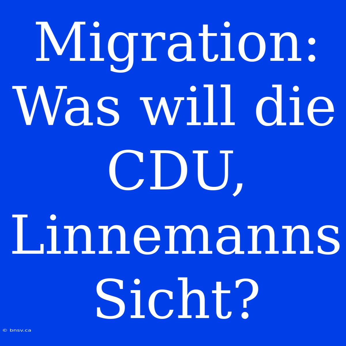 Migration: Was Will Die CDU, Linnemanns Sicht?