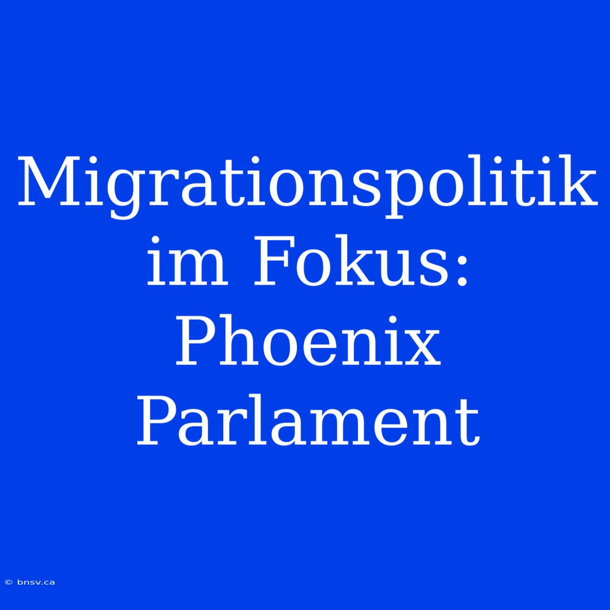 Migrationspolitik Im Fokus: Phoenix Parlament