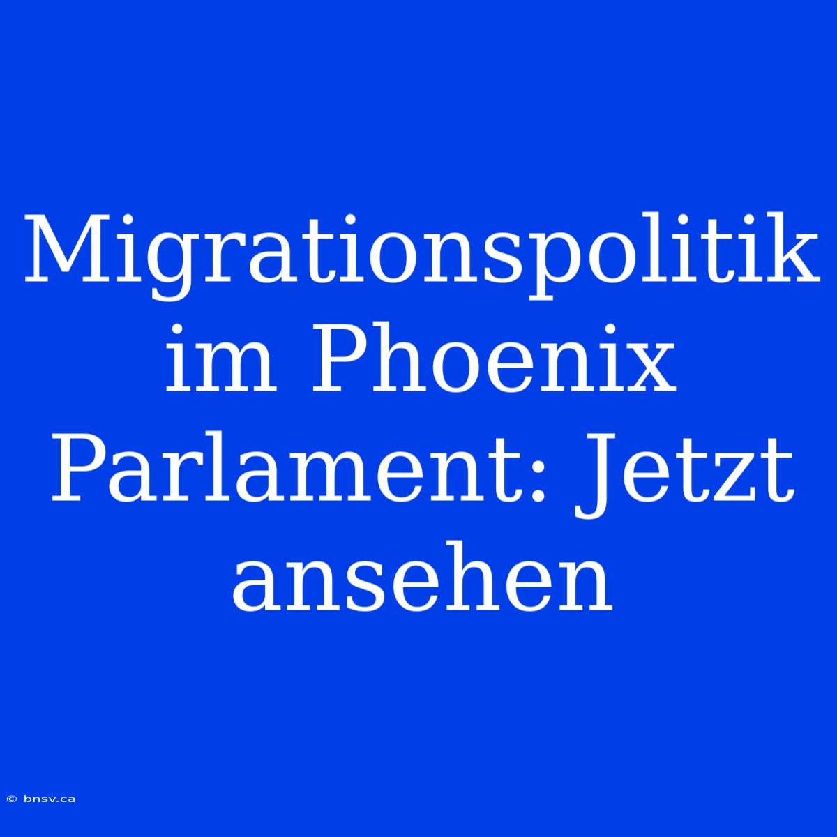 Migrationspolitik Im Phoenix Parlament: Jetzt Ansehen