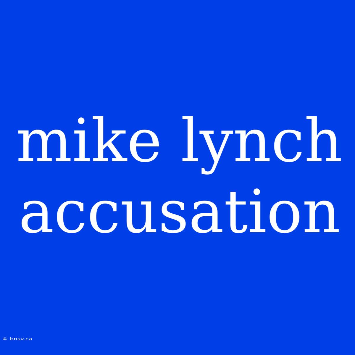 Mike Lynch Accusation