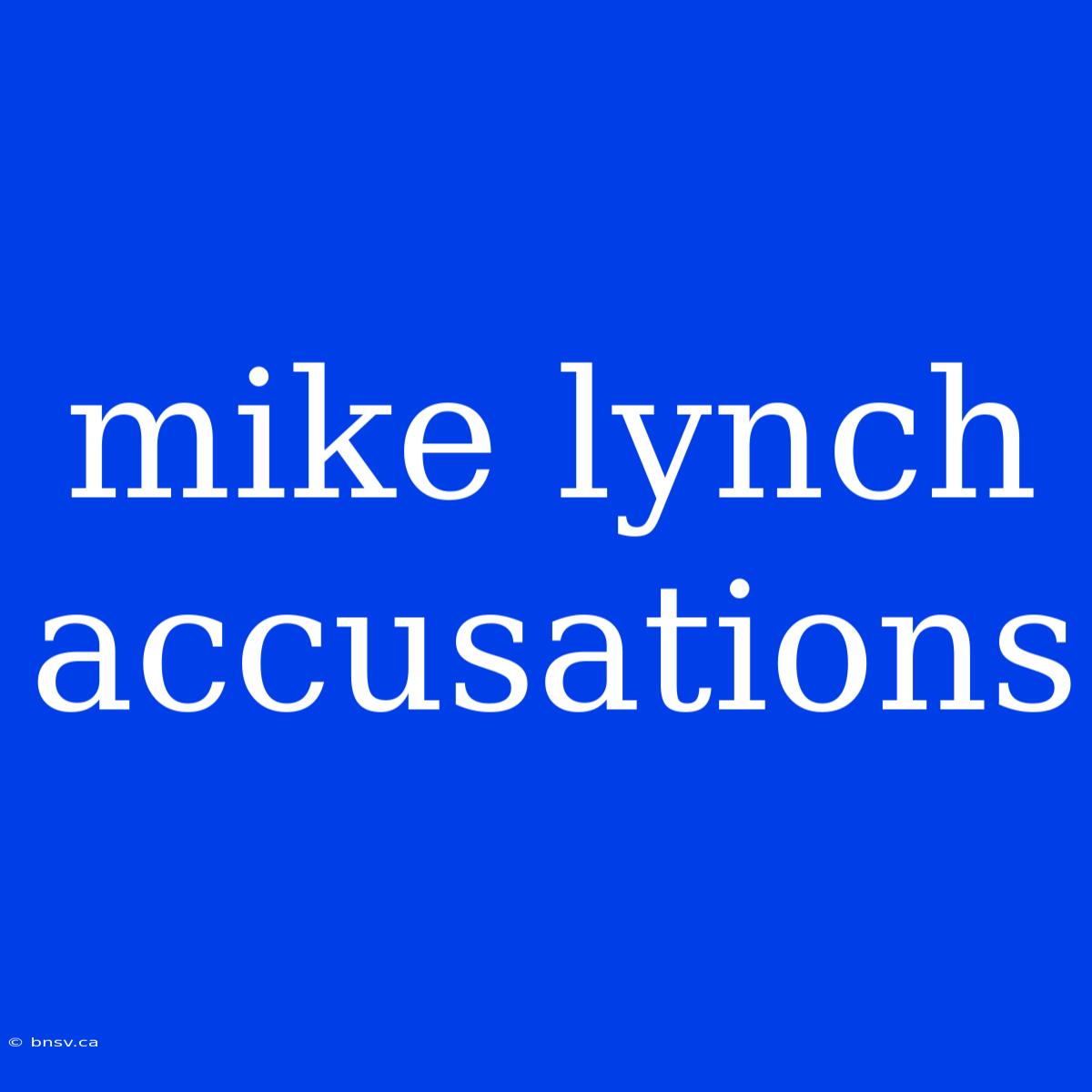 Mike Lynch Accusations